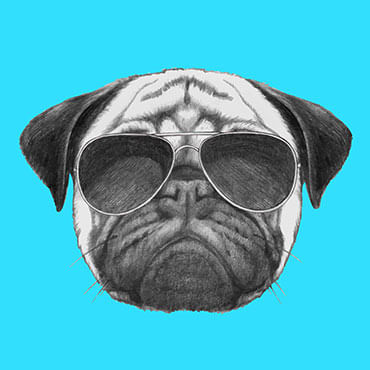 Pessoas que gostam de cachorros