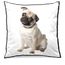 Almofada_Cachorro_Pug_Cao_65
