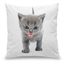 Almofada-Gato-Cinza---British-Grey