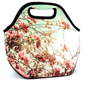 Lancheira_Arvore_Paisagem_Prim_323