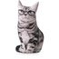 Peso_de_Porta_Gato_de_Estimaca_82
